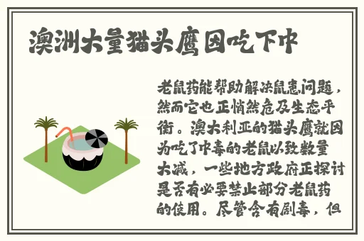 悠悠九色精华